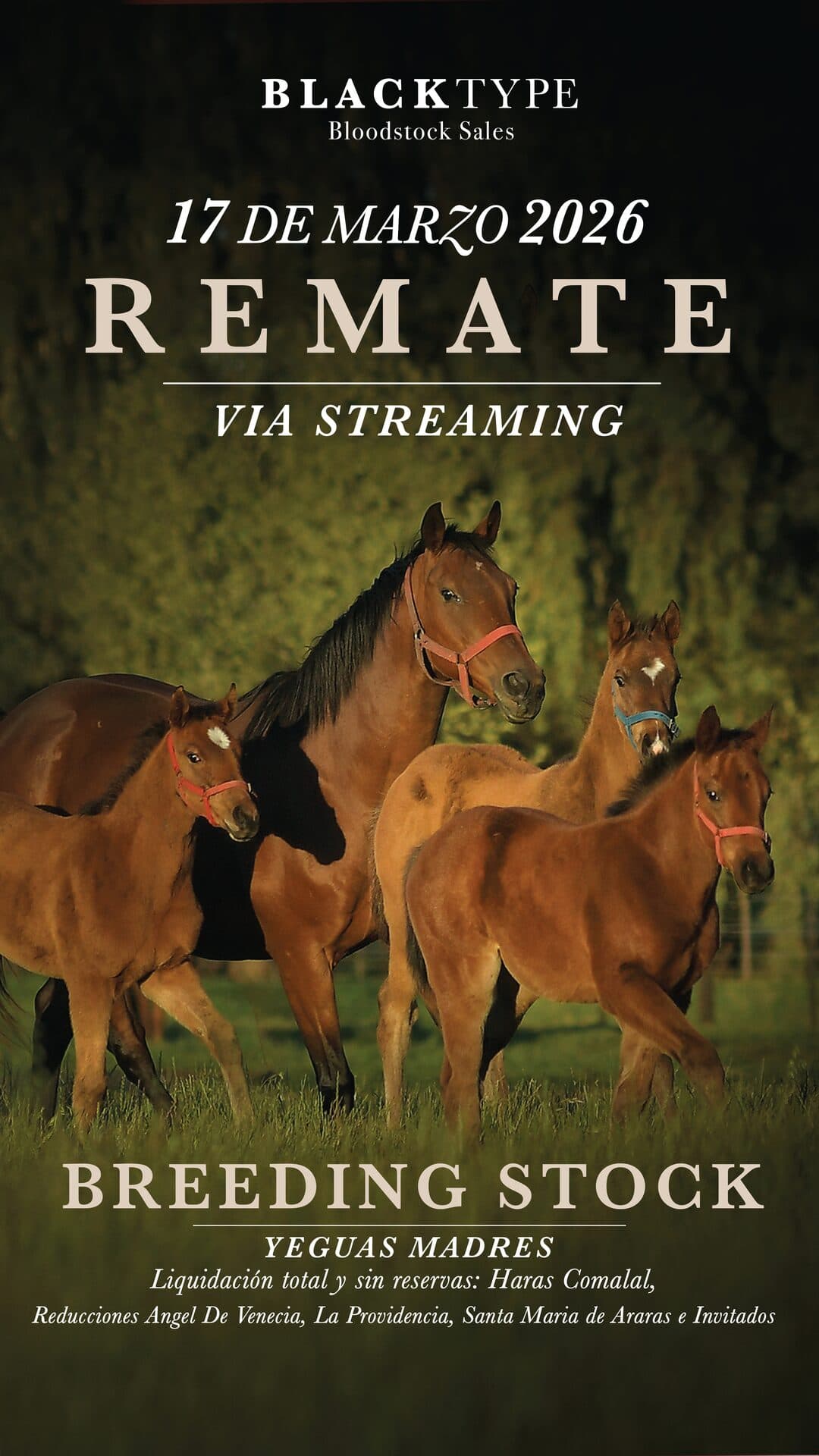 Breeding Stock