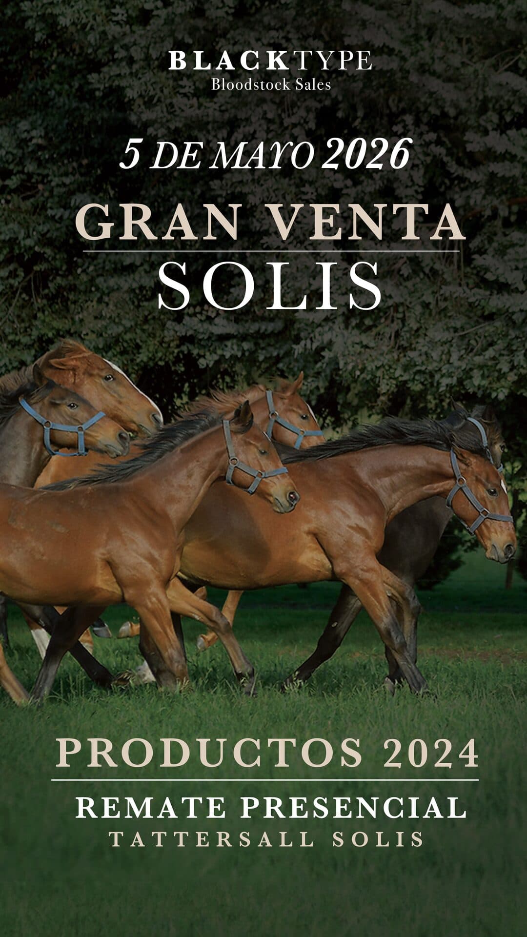 Gran Venta Solís